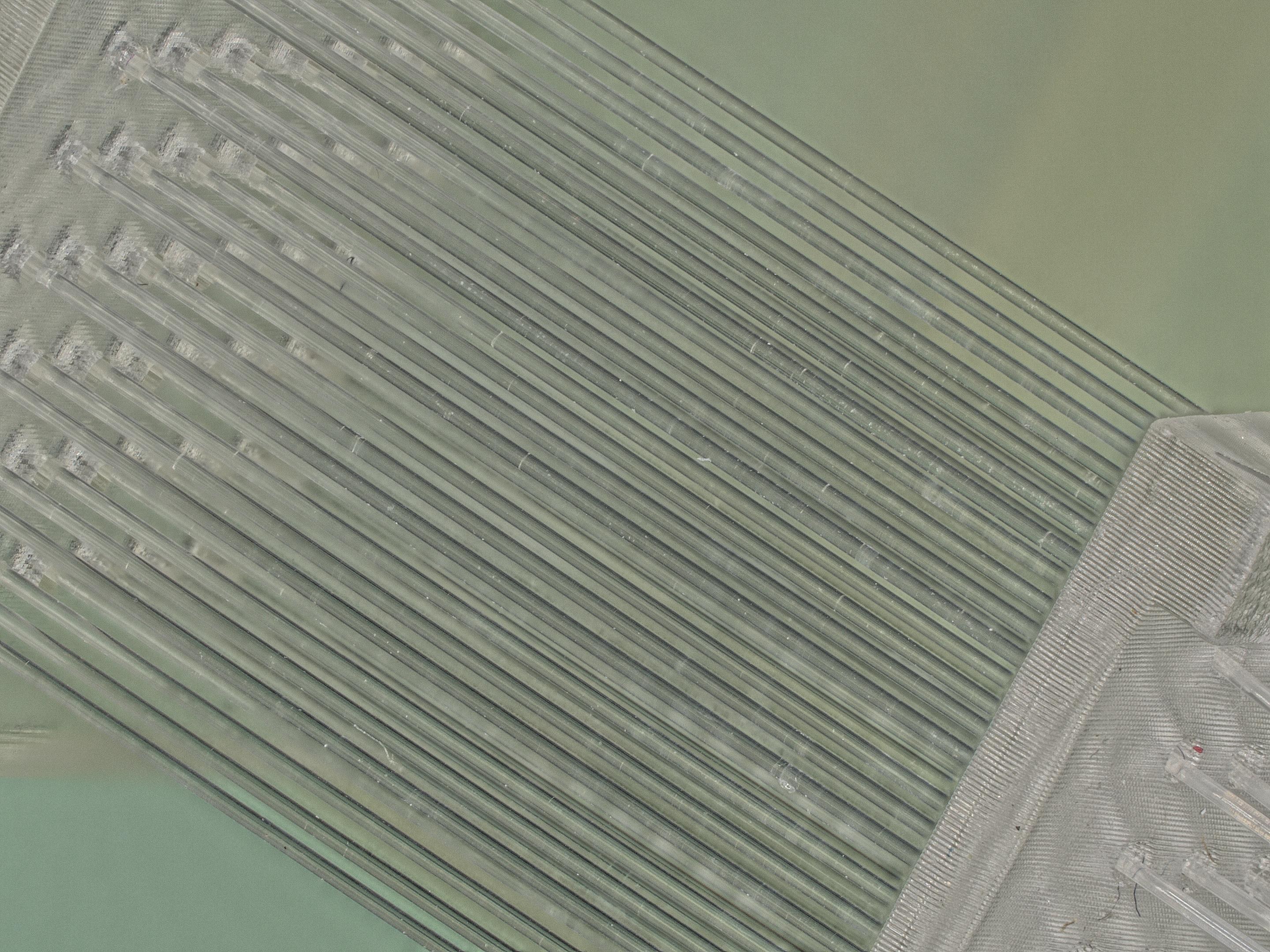 Threaded circular-fiber array mimicking fur, against a green background. The nylon-threaded circular fiber arrays used in this study.