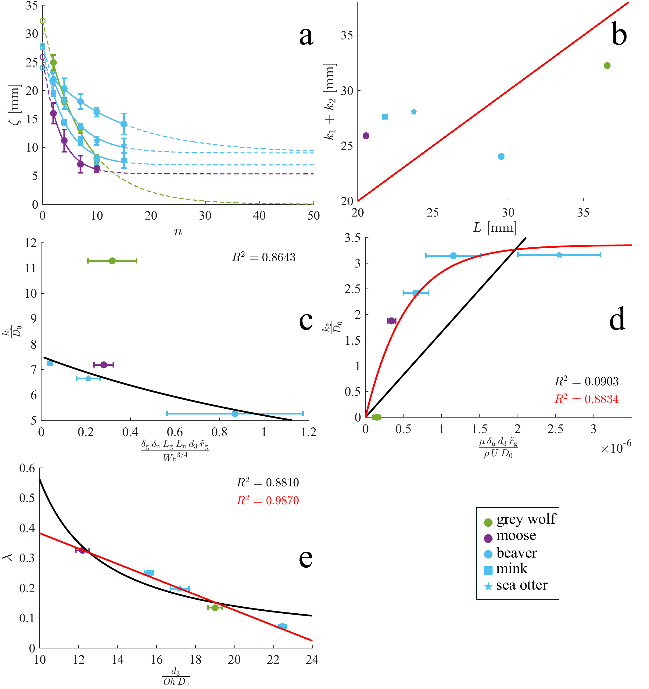 Figure 6 from the paper: dry-zone thickness versus number of drops, showing exponential decay to a steady state, plus model fits relating saturation depth, dry-zone thickness, and decay rate to the dimensionless fur-property groups.