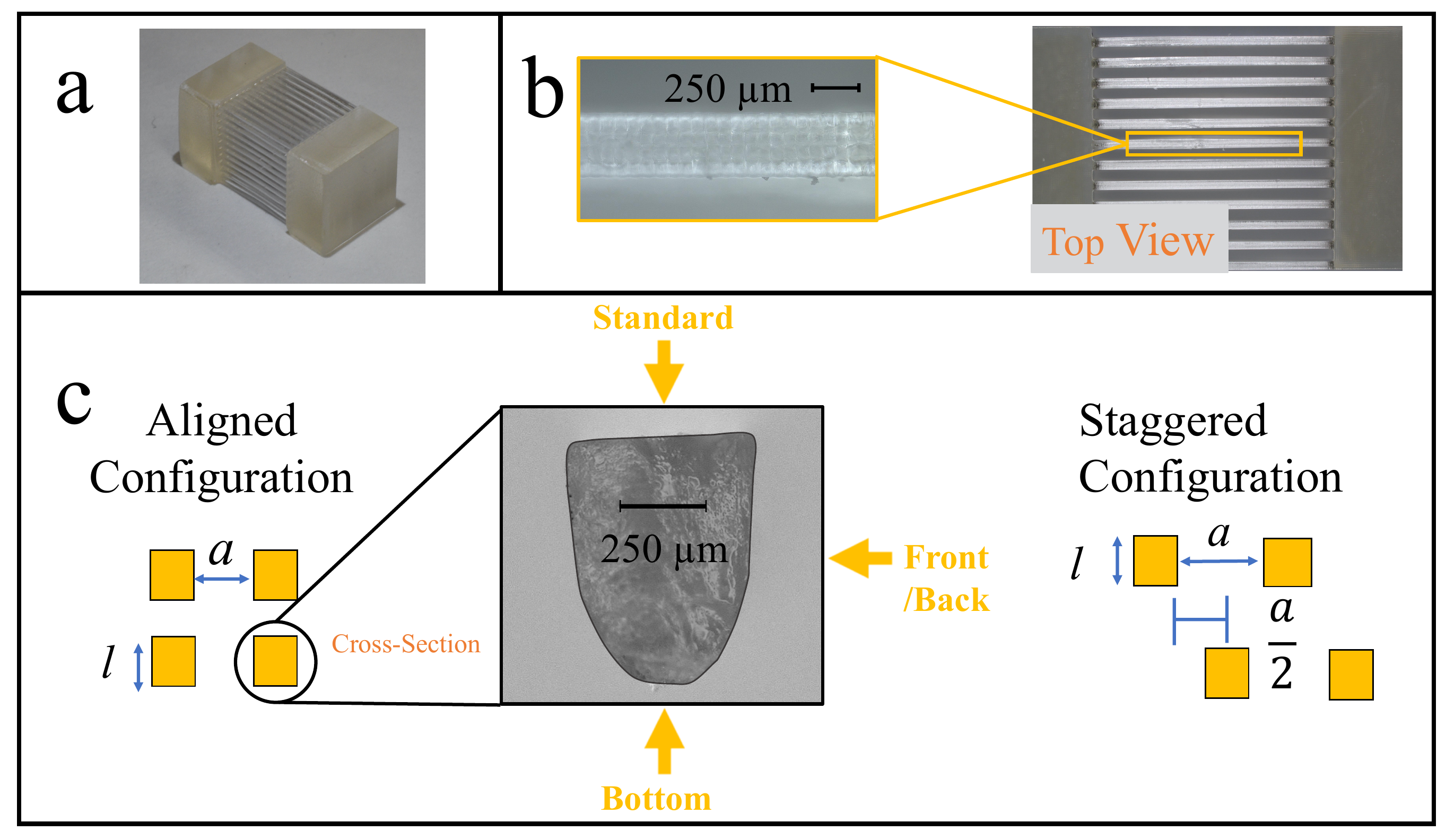 Figure 1 from the paper: 3D-printed fiber array. Oblique view, top view, and schematic comparison of aligned vs staggered configurations.