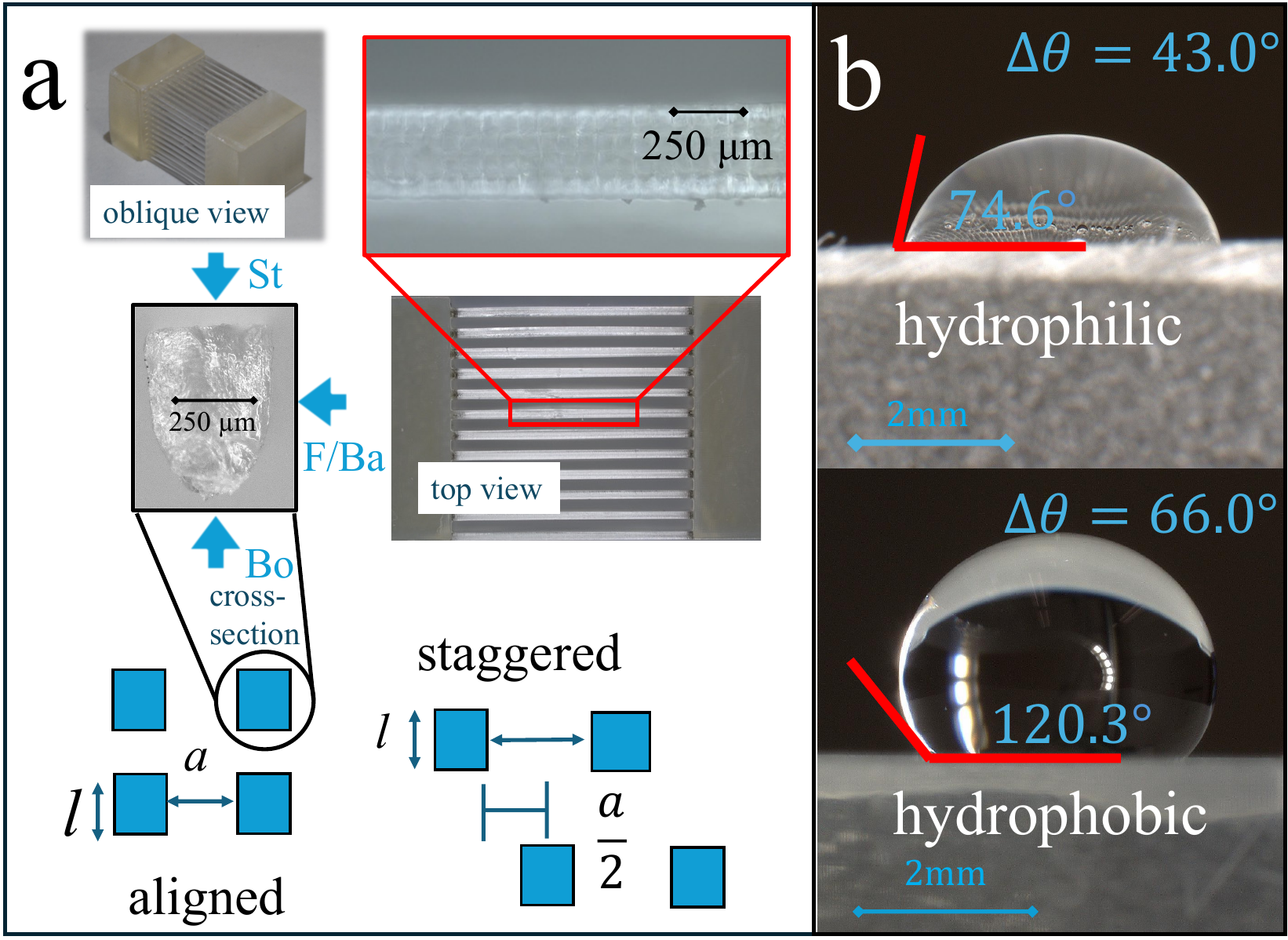 Figure 1 from the paper: 3D-printed fiber arrays in staggered and aligned configurations across standard, front-and-back, and bottom orientations, plus contact-angle photos of hydrophilic and hydrophobic samples.