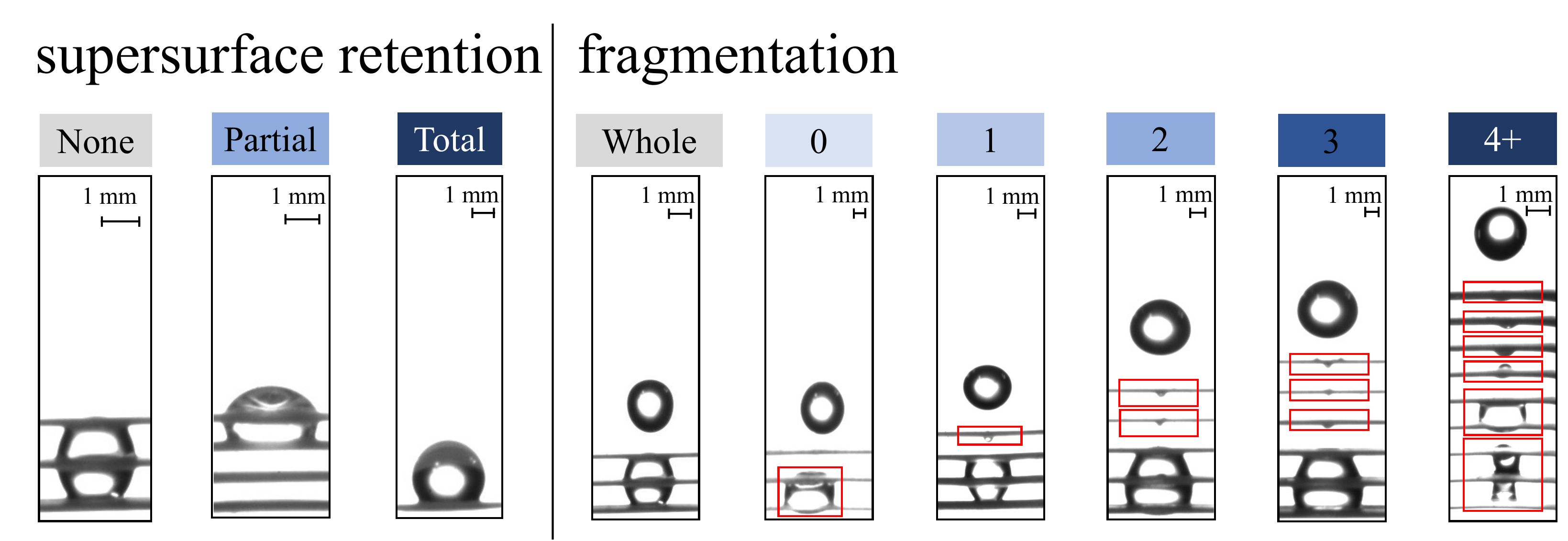 Figure 4 from the paper: classifications of supersurface retention (None / Partial / Total) and fragmentation (Whole / 0 / 1 / 2 / 3 / 4+) of liquid within the array.