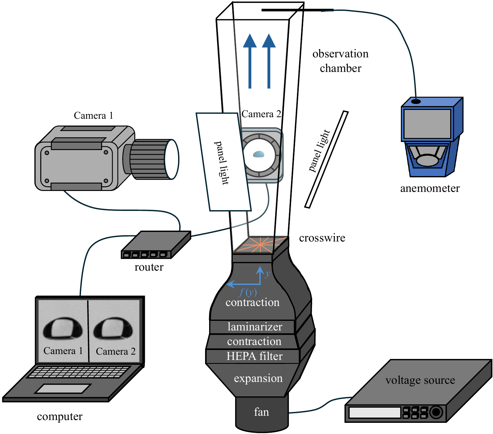 Schematic of the vertical wind tunnel and two-camera imaging setup.